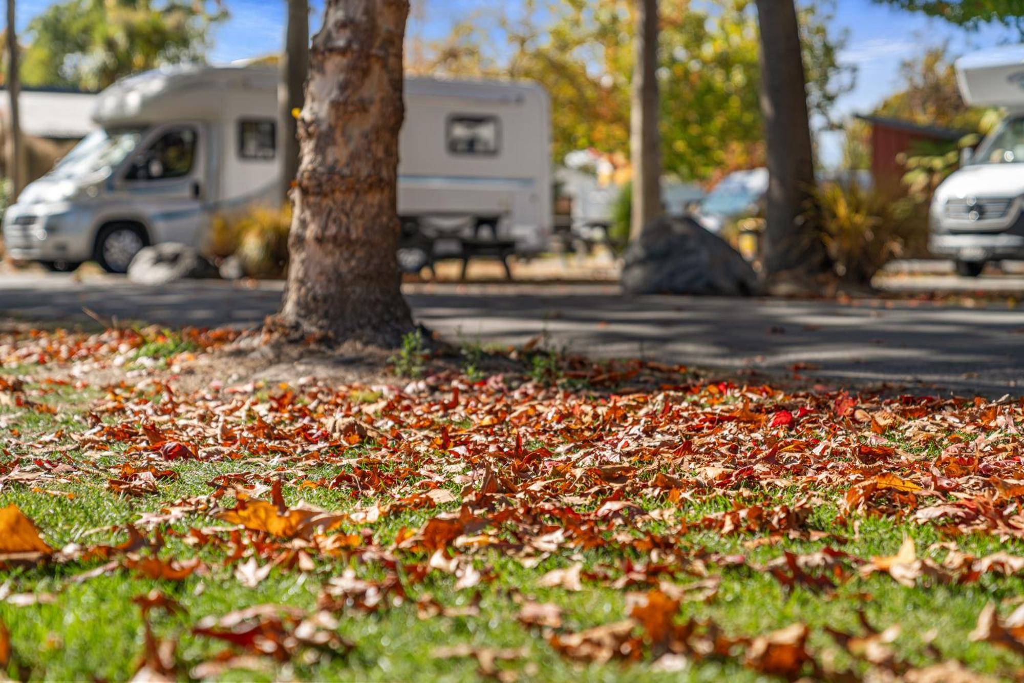 Tasman Holiday Parks - Christchurch Esterno foto Autumn leaves on the ground
